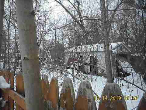 14377 Stout (13)_m.jpg